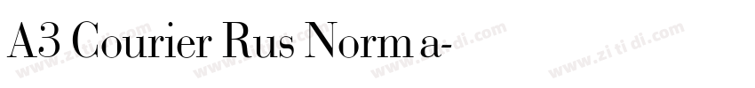 A3 Courier Rus Norma字体转换